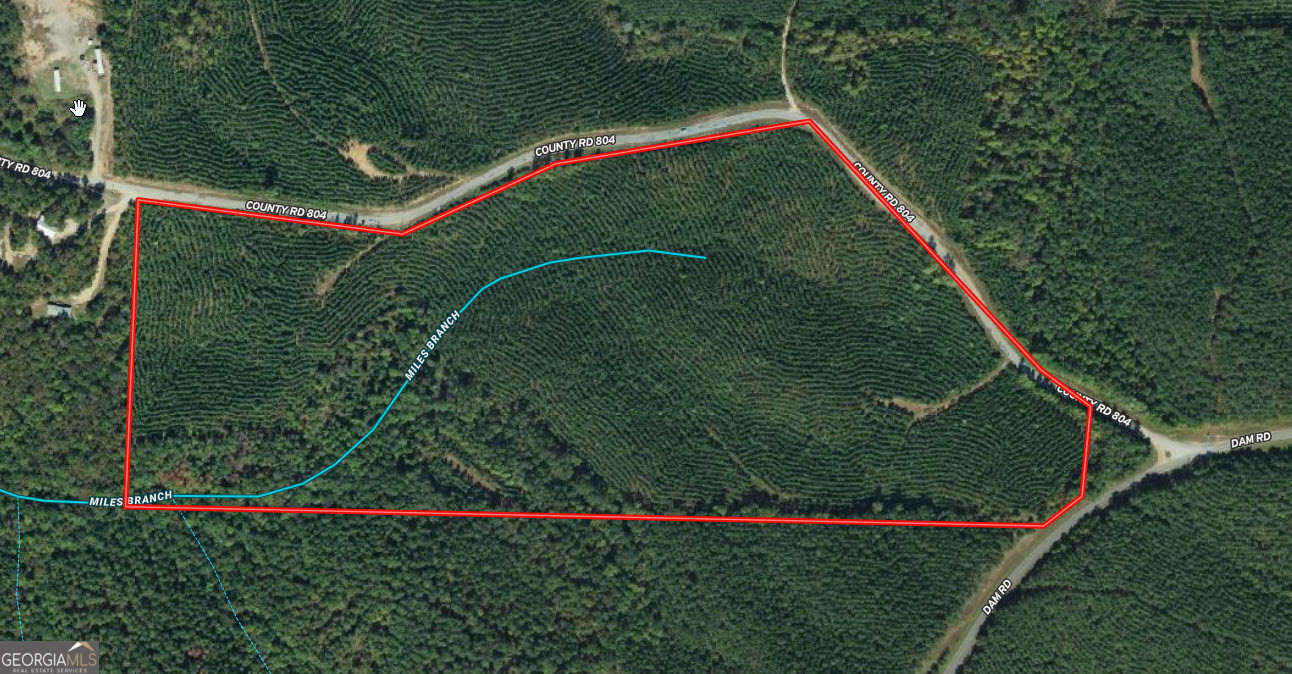 49.5 Ac County Road 804 Property Photo