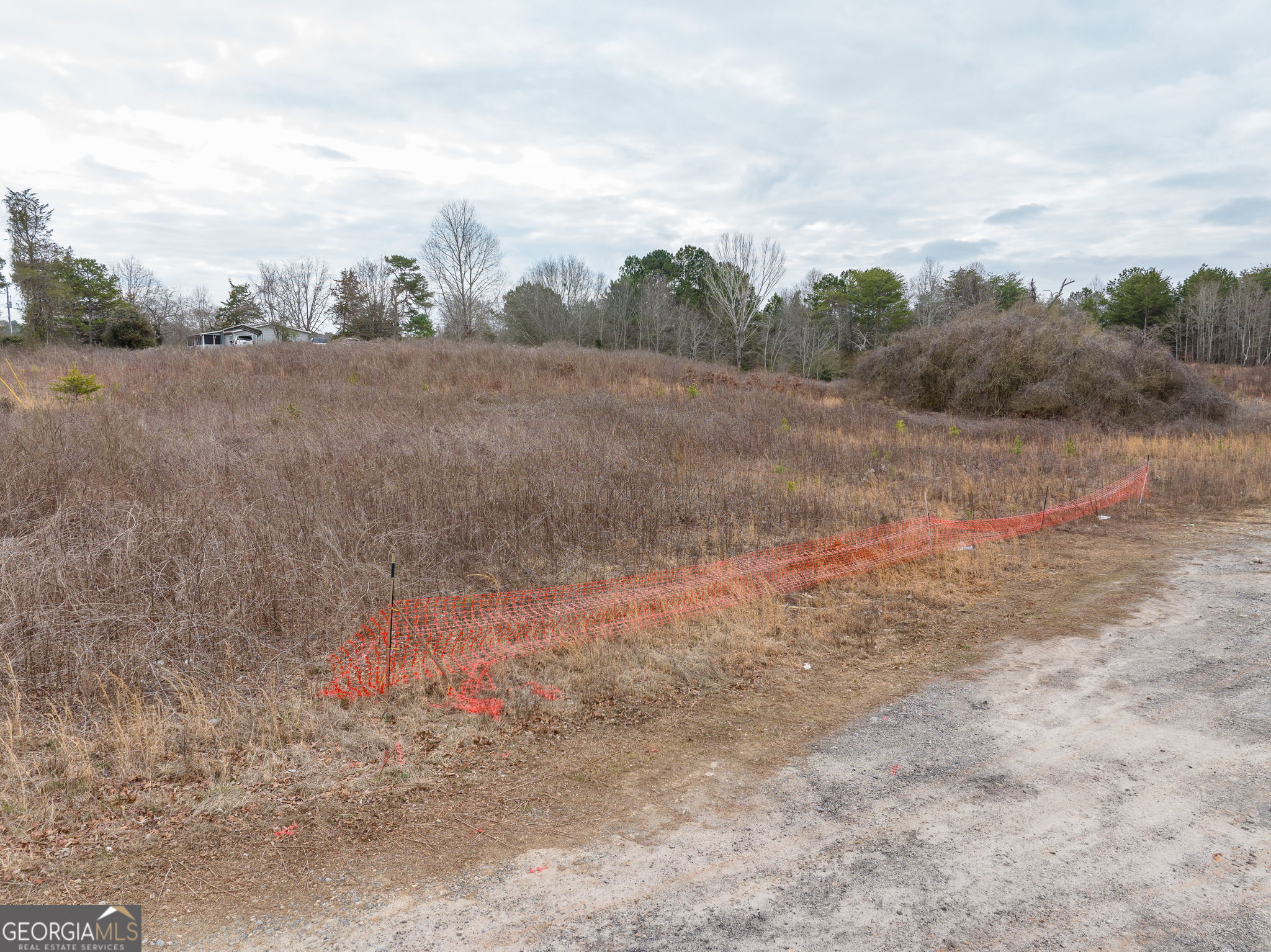 0 Cornelia Highway Property Photo 39