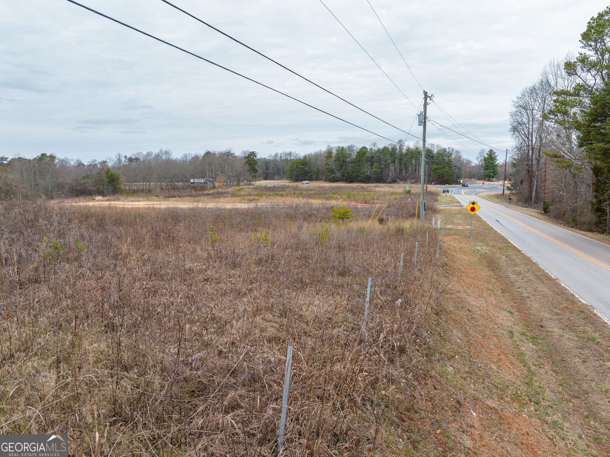 0 Cornelia Highway Property Photo 41