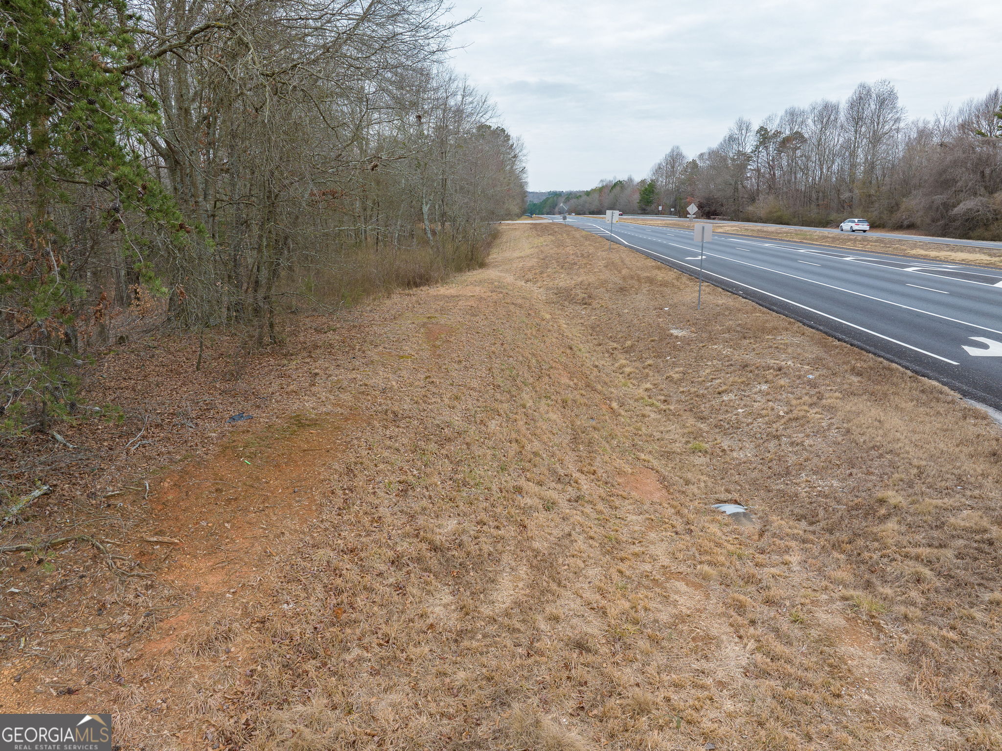 0 Cornelia Highway Property Photo 43