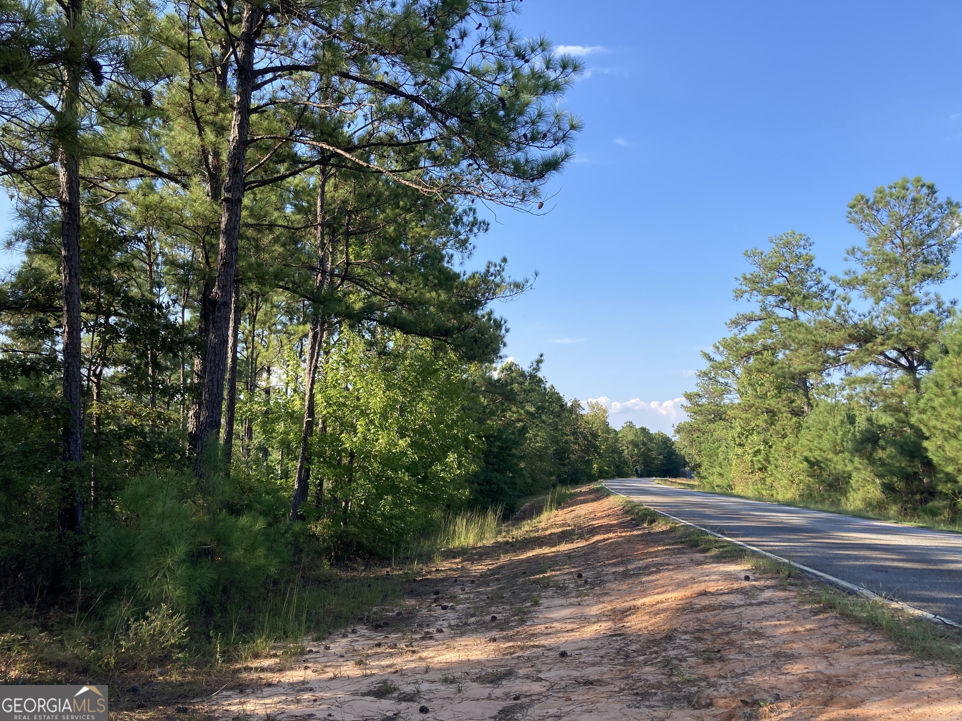 0 Firetower Road Property Photo
