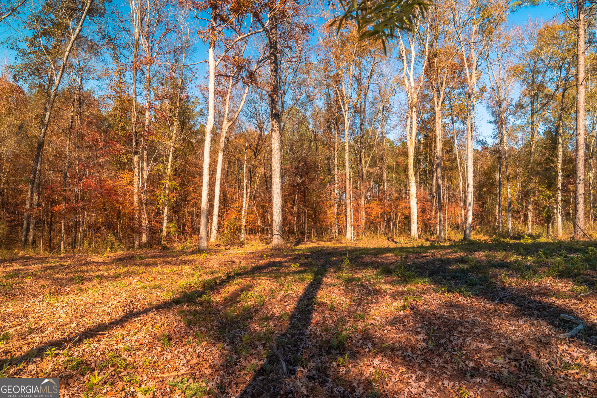 0 Old Dames Ferry Road Property Photo