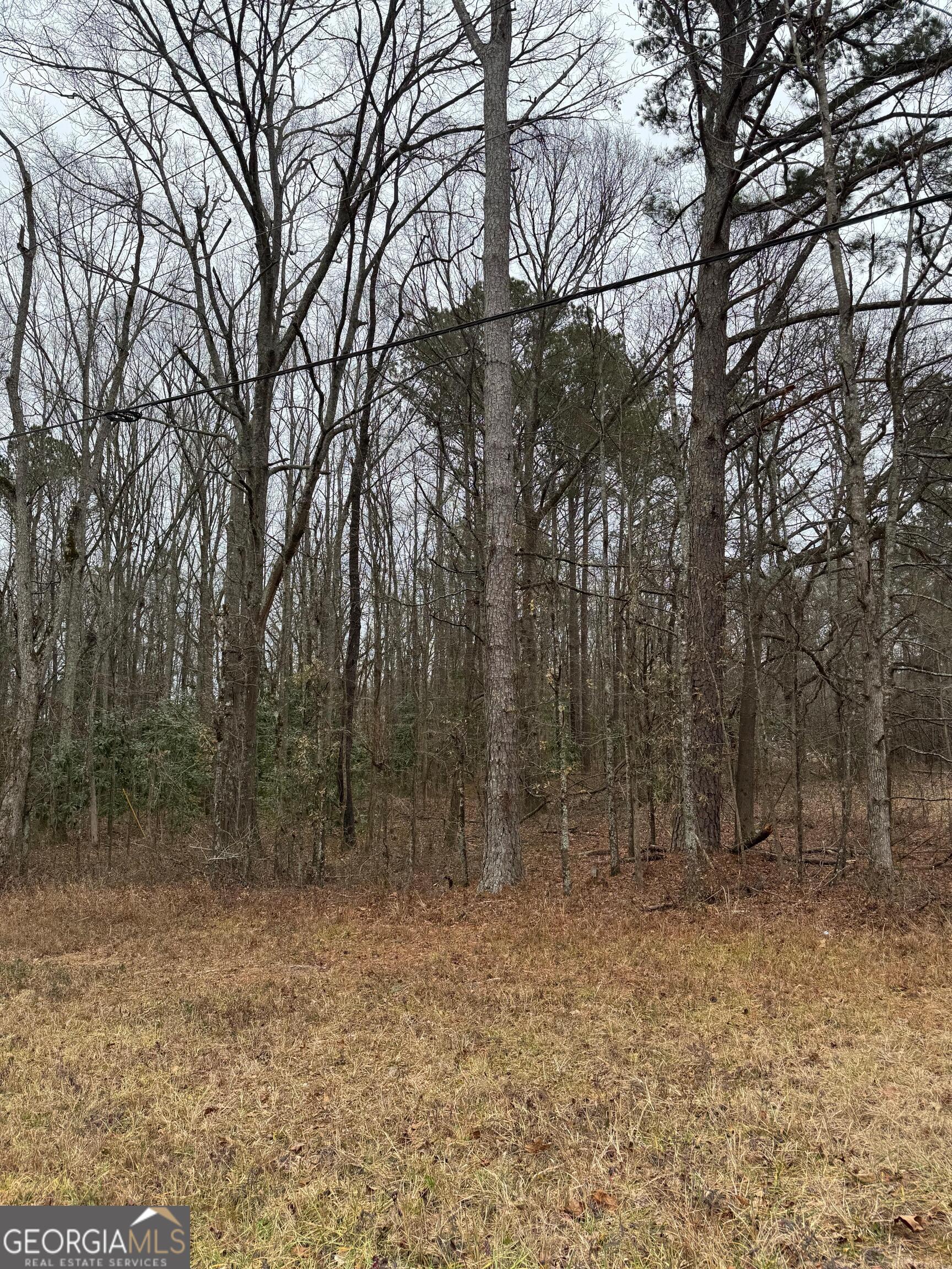 20470 Ga Highway 34 Property Photo