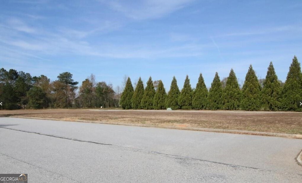 367 SE Athens Highway # 2600 Property Photo 1