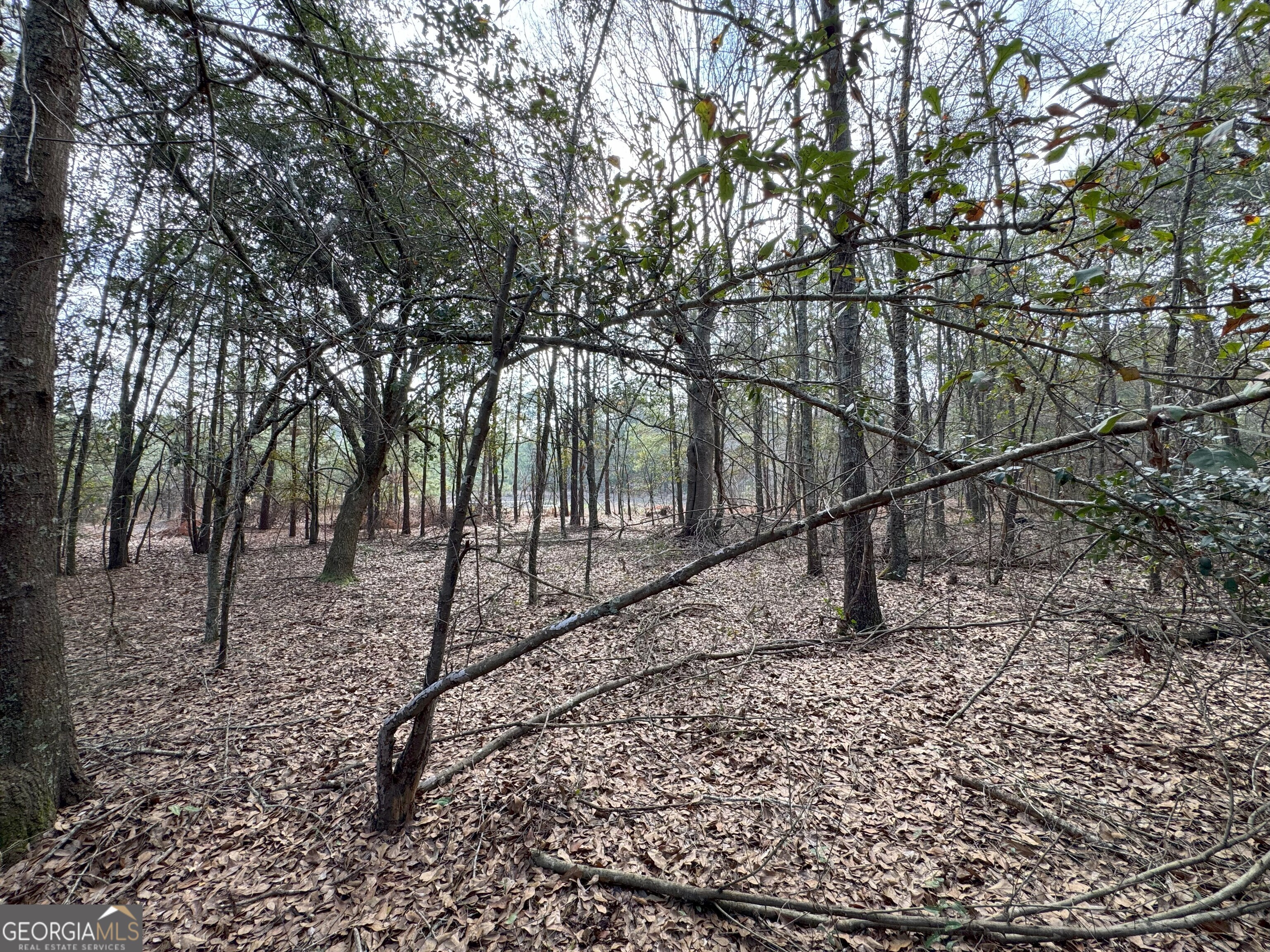Tbd Whispering Pines Road Property Photo