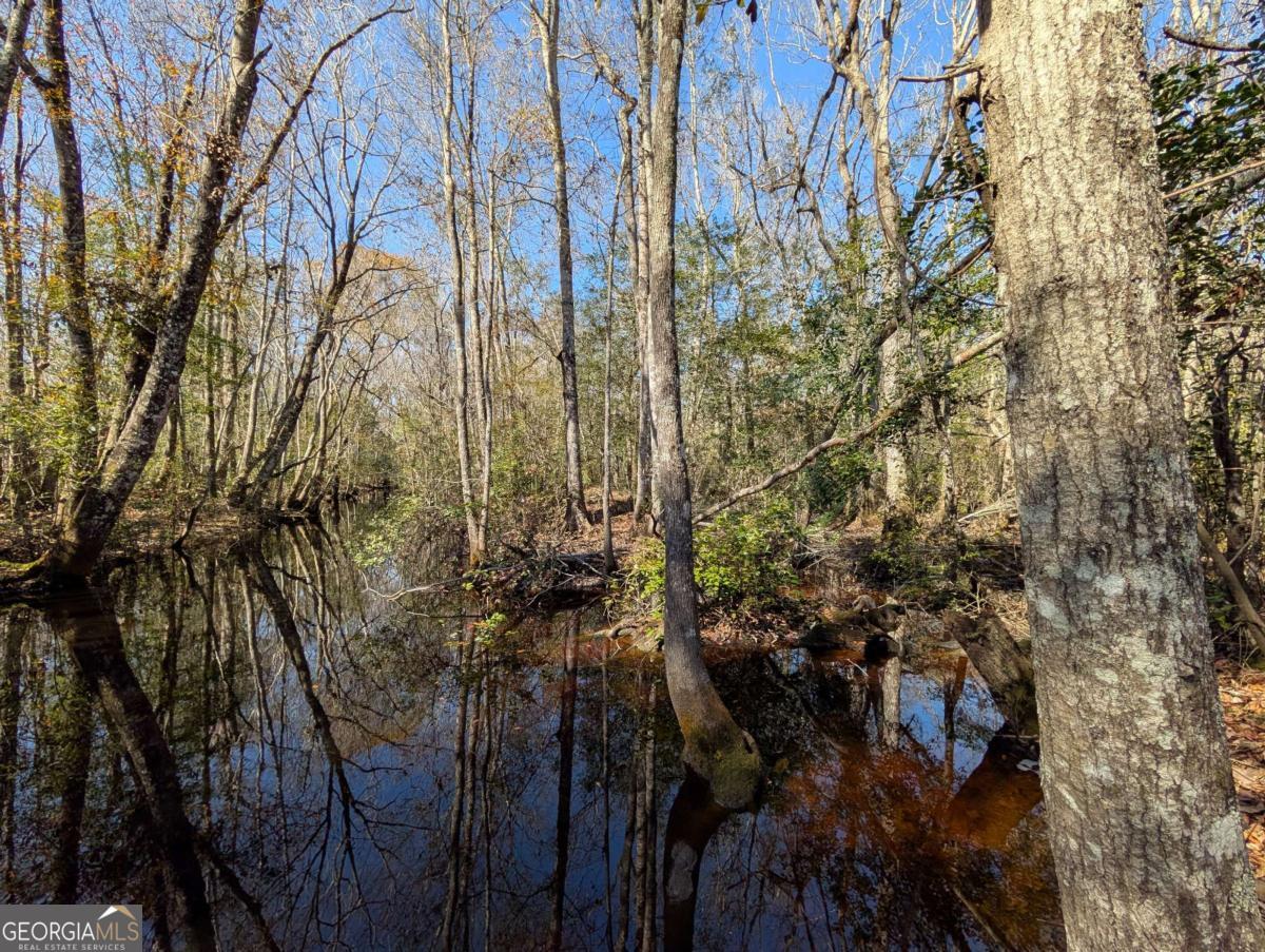 0 Highway 301 South Property Photo