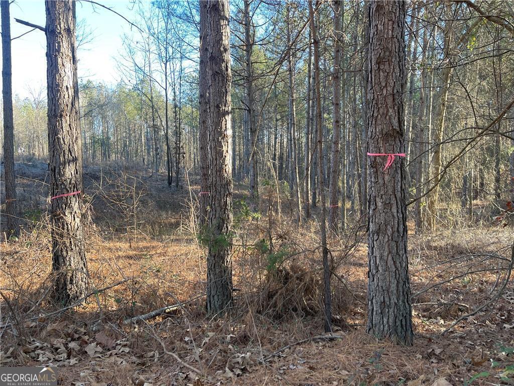 139 Brambleberry Trail Property Photo