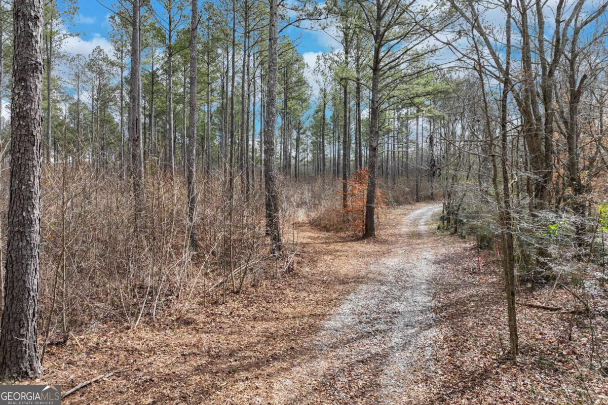 1435 Hargrove Lake Road Property Photo