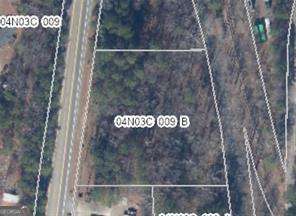 10494 Ball Ground Highway Property Photo 1