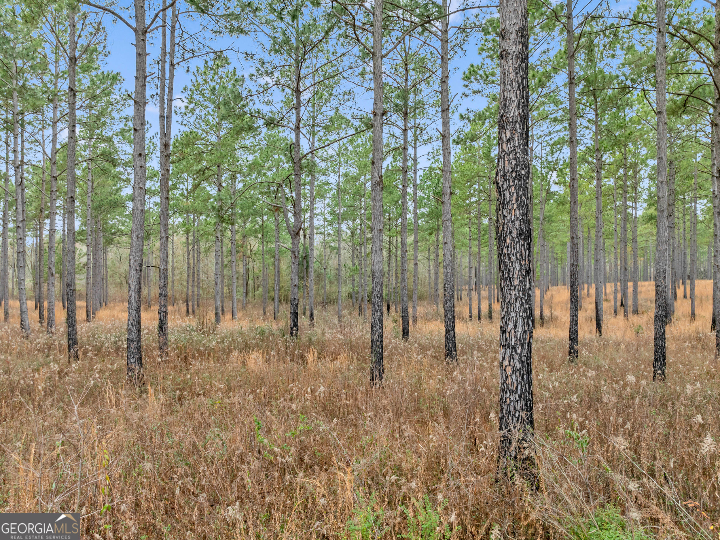 Tbd Lost Creek Road Property Photo