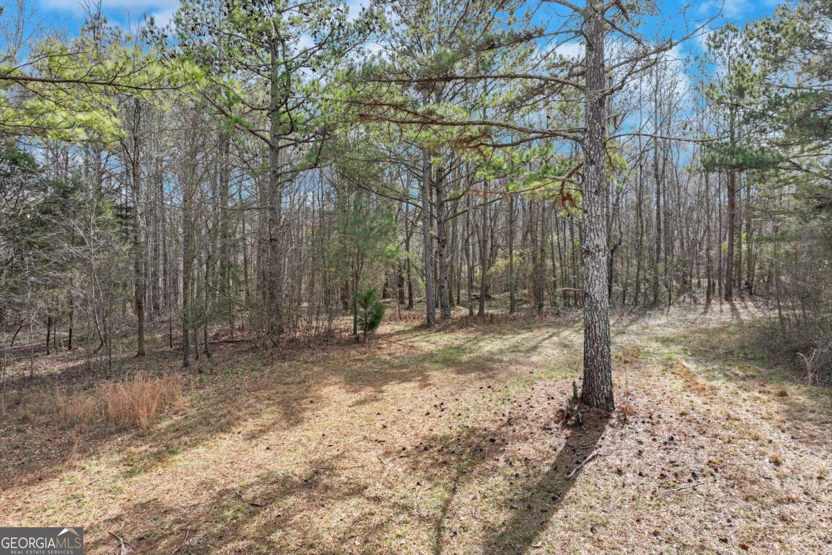 1423 Hargrove Lake Road Property Photo