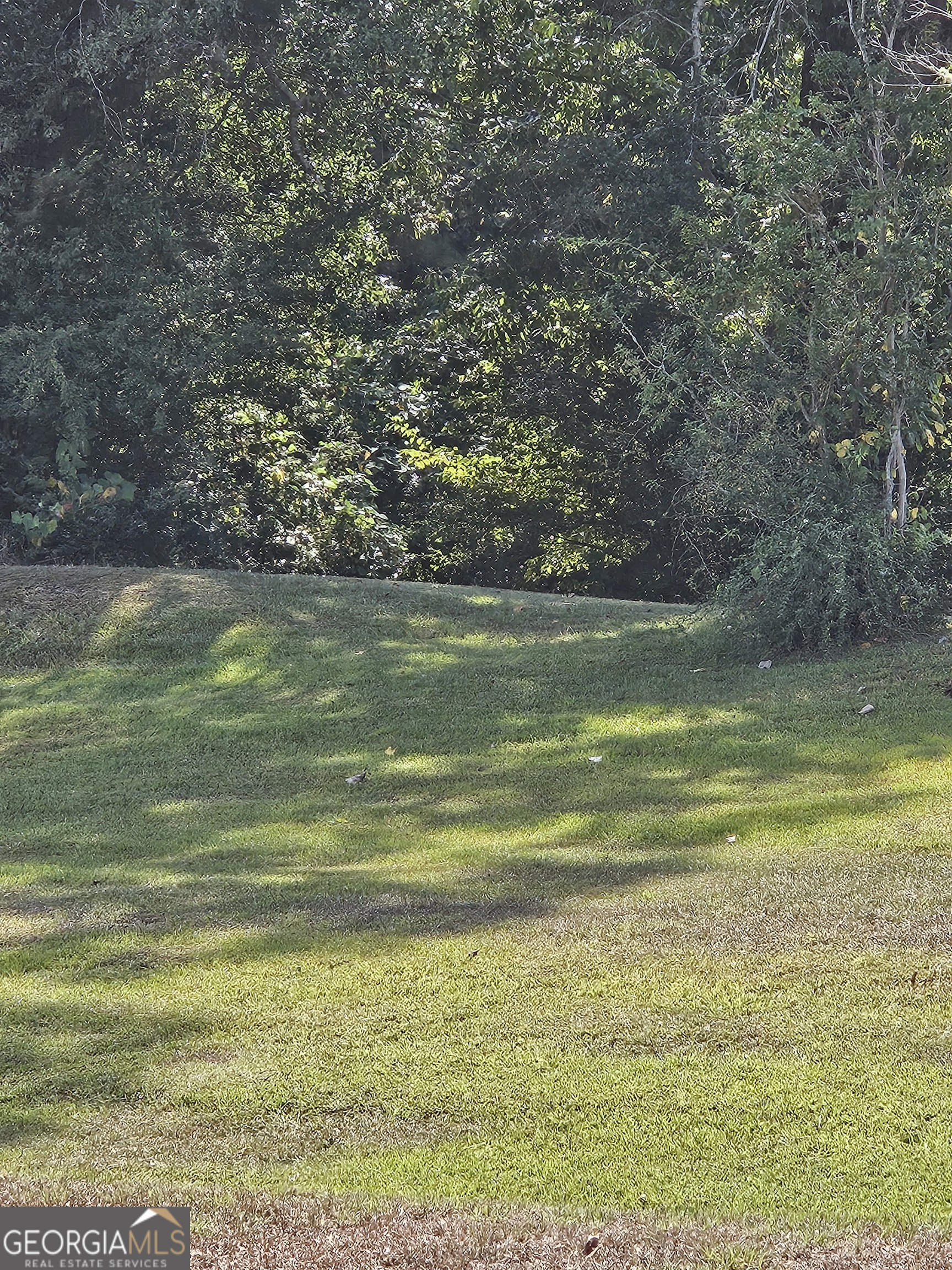 2381 Pegasus Parkway Property Photo 6