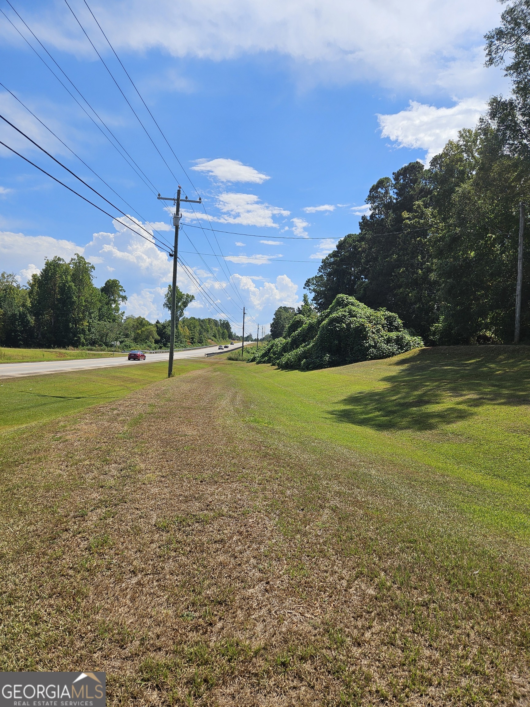 2381 Pegasus Parkway Property Photo 11