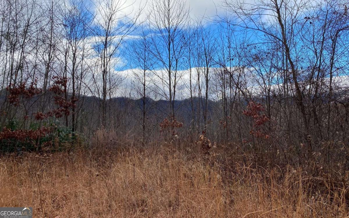 Lot G5 Georgianna Lane Property Photo