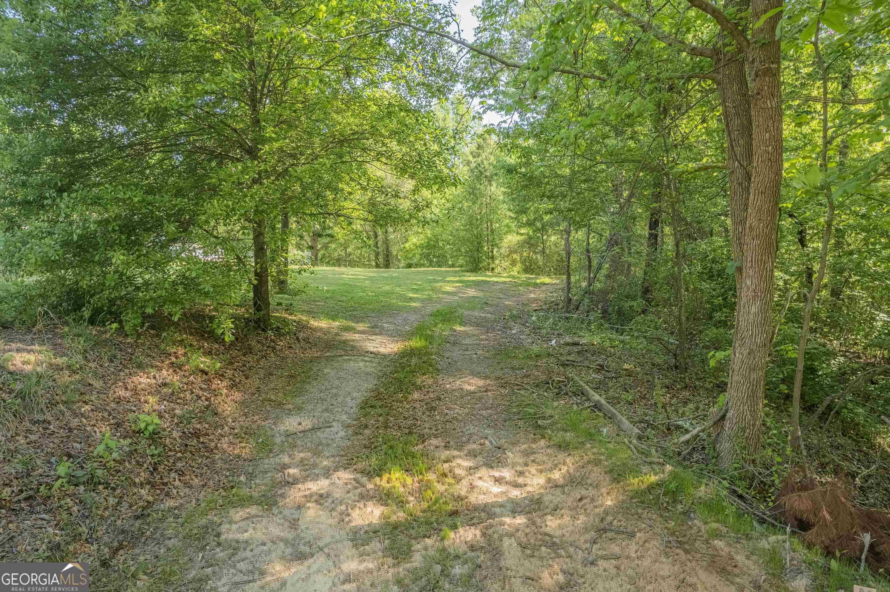 0 Old Mize Road Property Photo 1