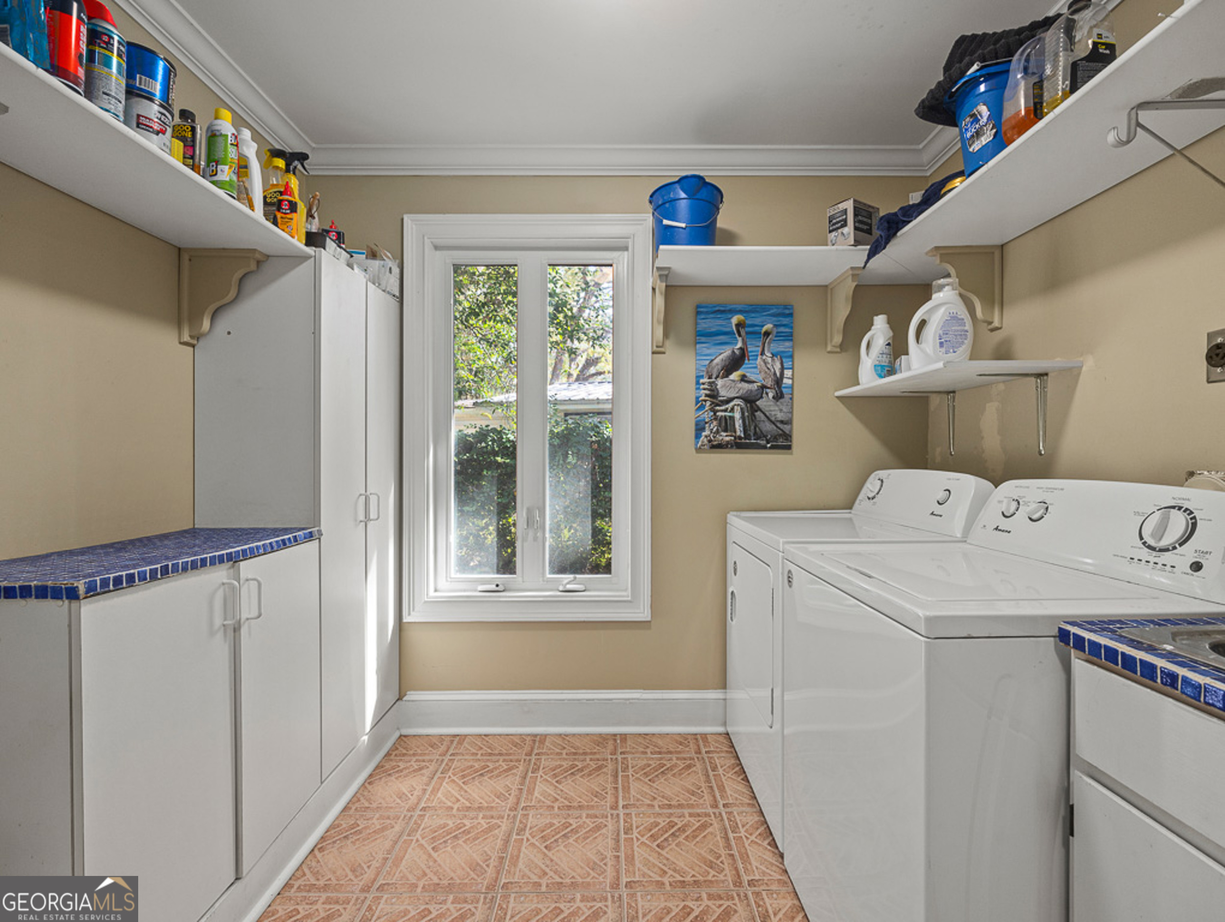 103 Cater Street Property Photo 16