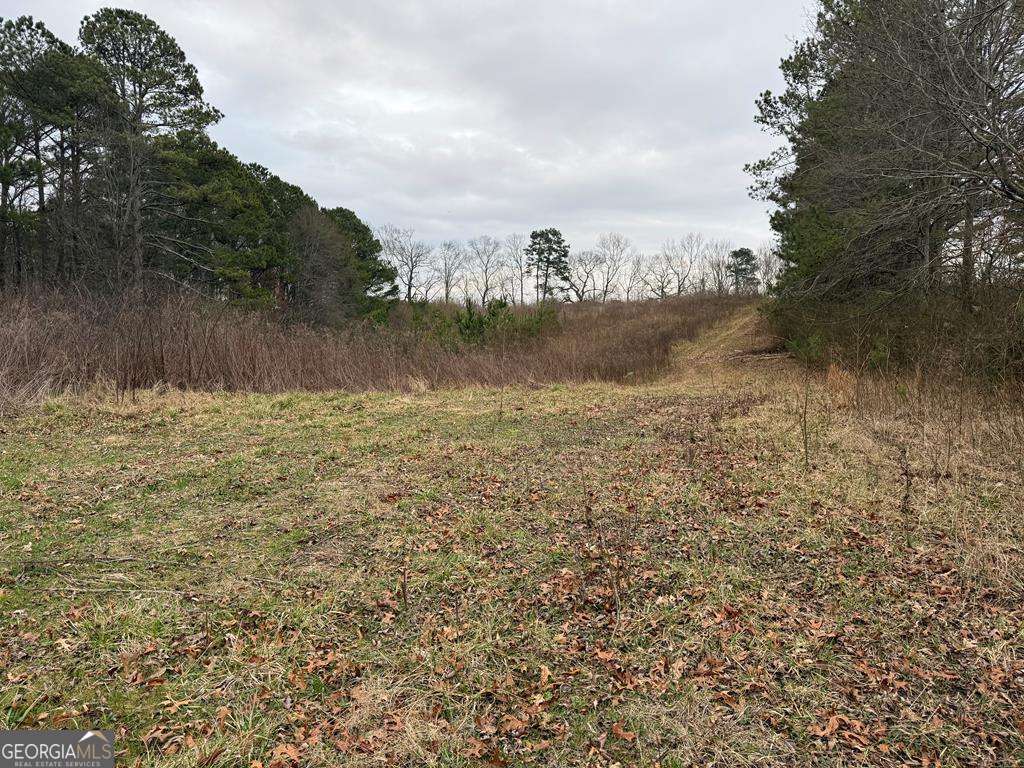 00 Co Rd 63 Property Photo
