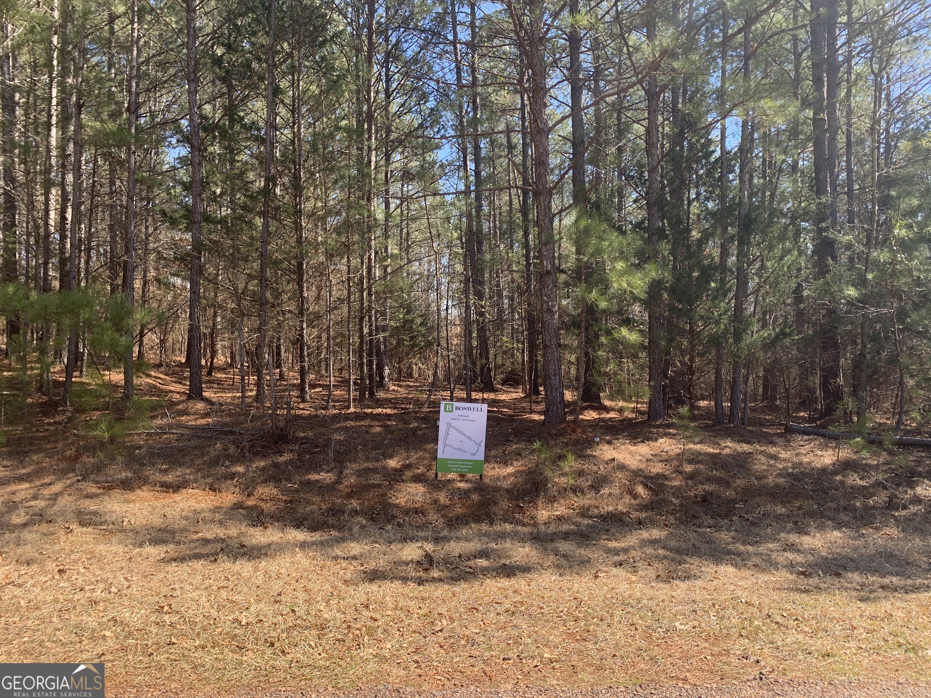 0 Brewer Phillips Road Property Photo