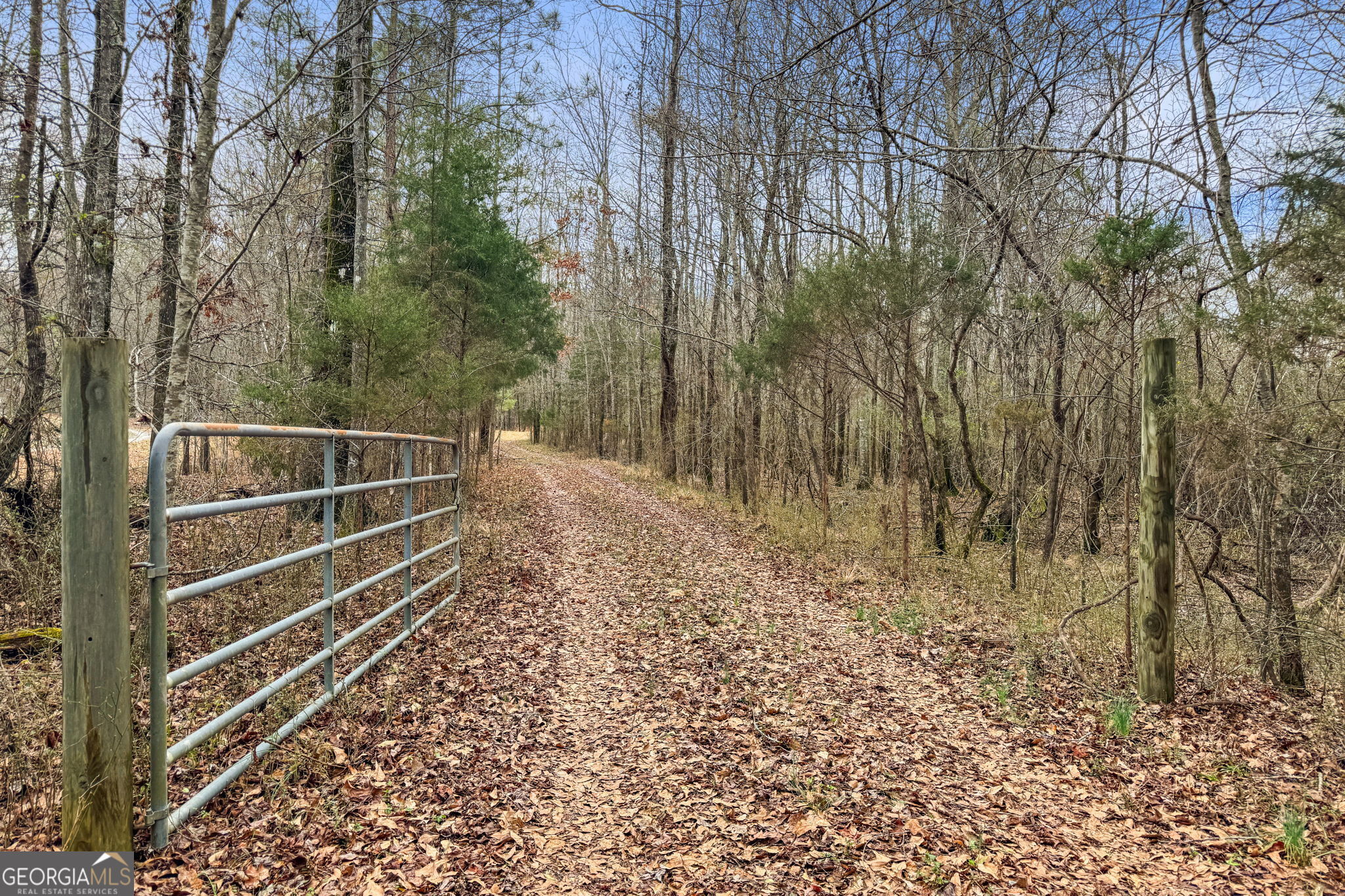 34.61 Acres Walker Road Property Photo