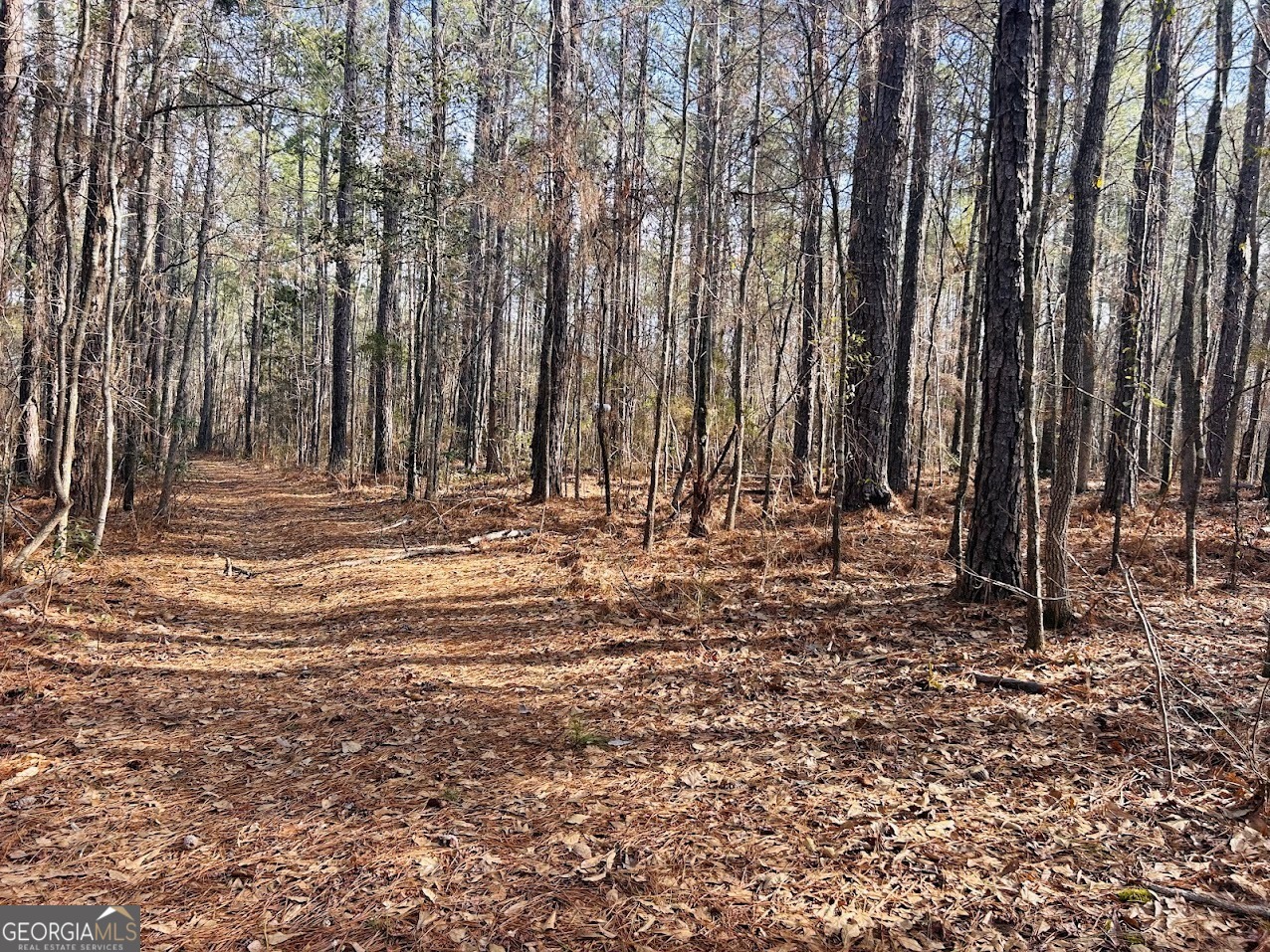 0 Highway 208 Property Photo