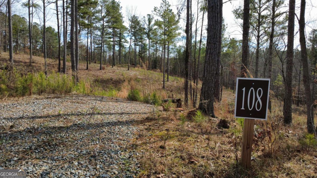 LOT 108 Blalock Mountain Road Property Photo 1