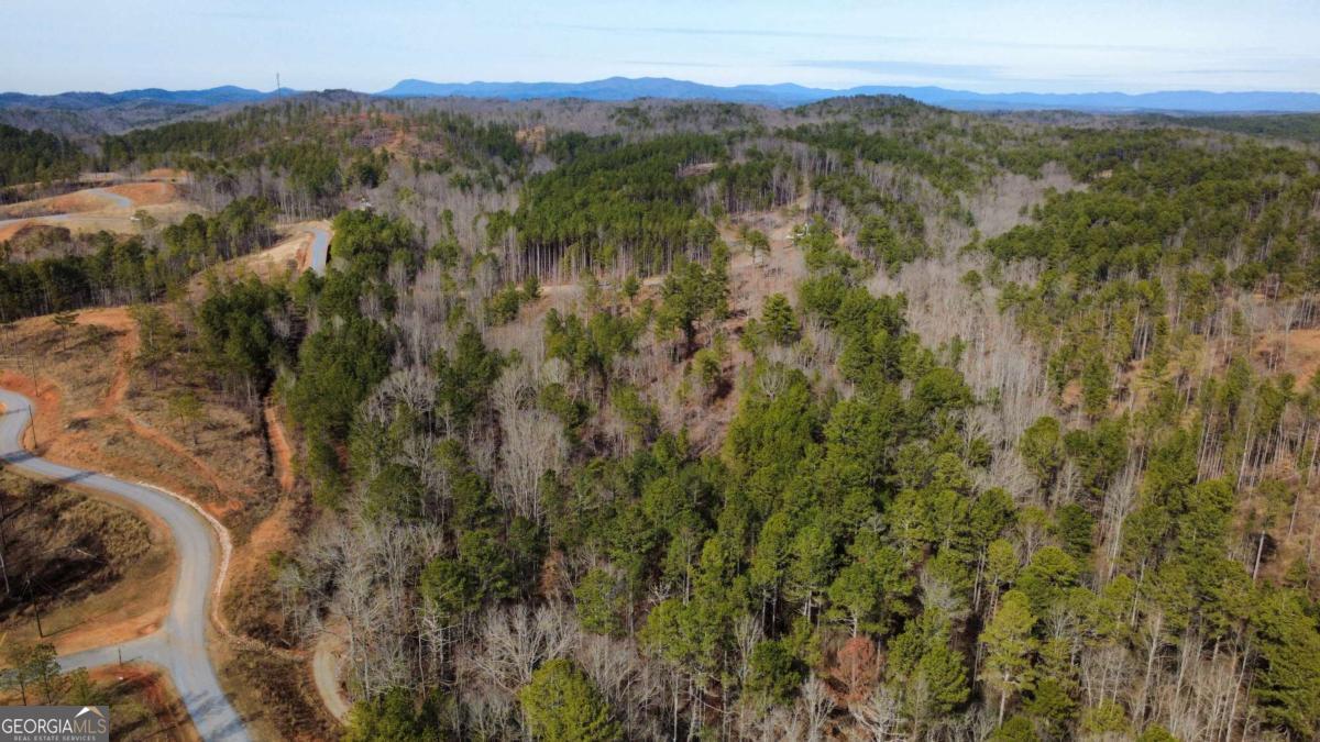 Lot 108 Blalock Mountain Road Property Photo 2