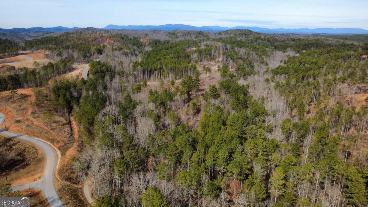 Lot 108 Blalock Mountain Road Property Photo 3
