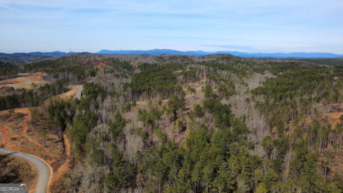 Lot 108 Blalock Mountain Road Property Photo 4