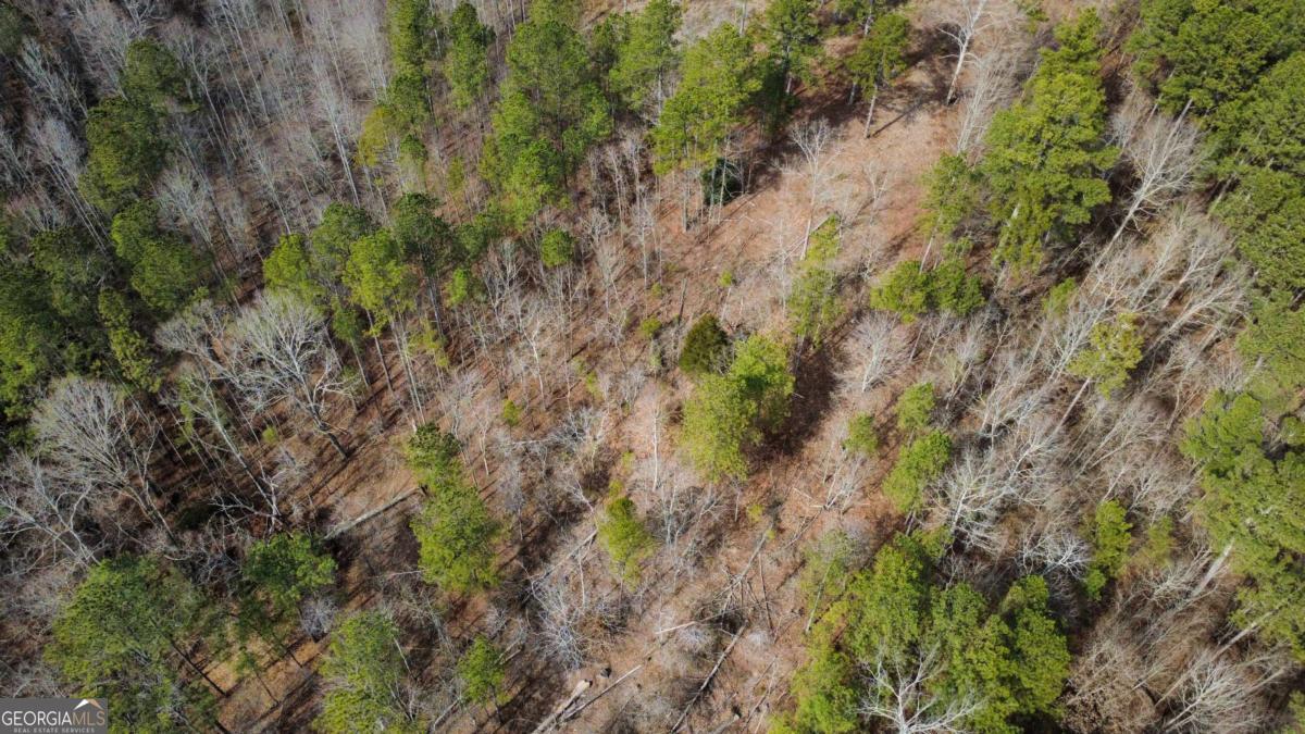 Lot 108 Blalock Mountain Road Property Photo 5
