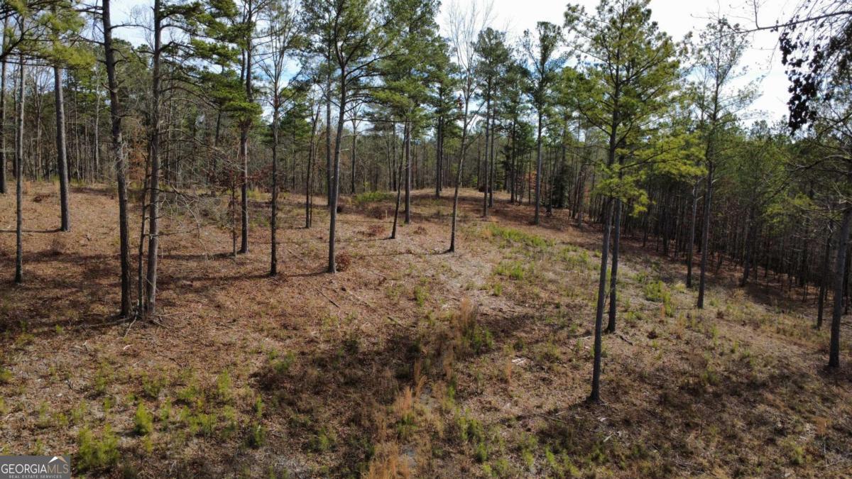 Lot 108 Blalock Mountain Road Property Photo 6