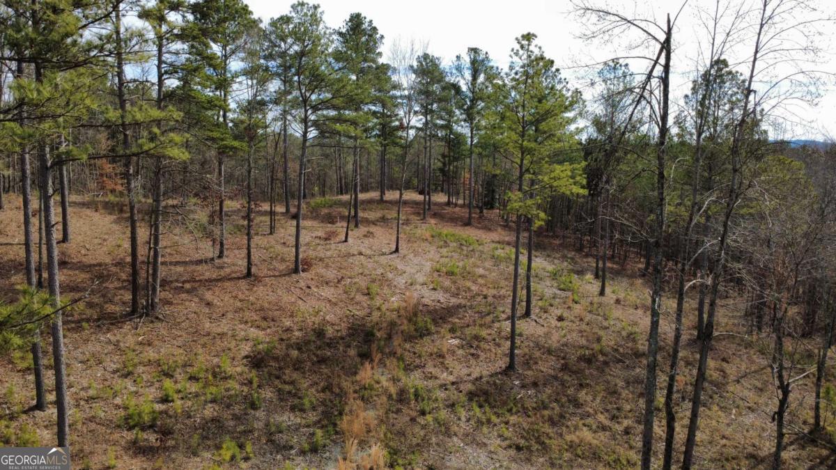 Lot 108 Blalock Mountain Road Property Photo 7