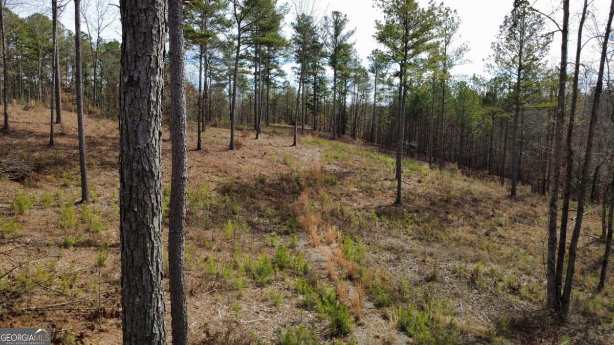 Lot 108 Blalock Mountain Road Property Photo 8