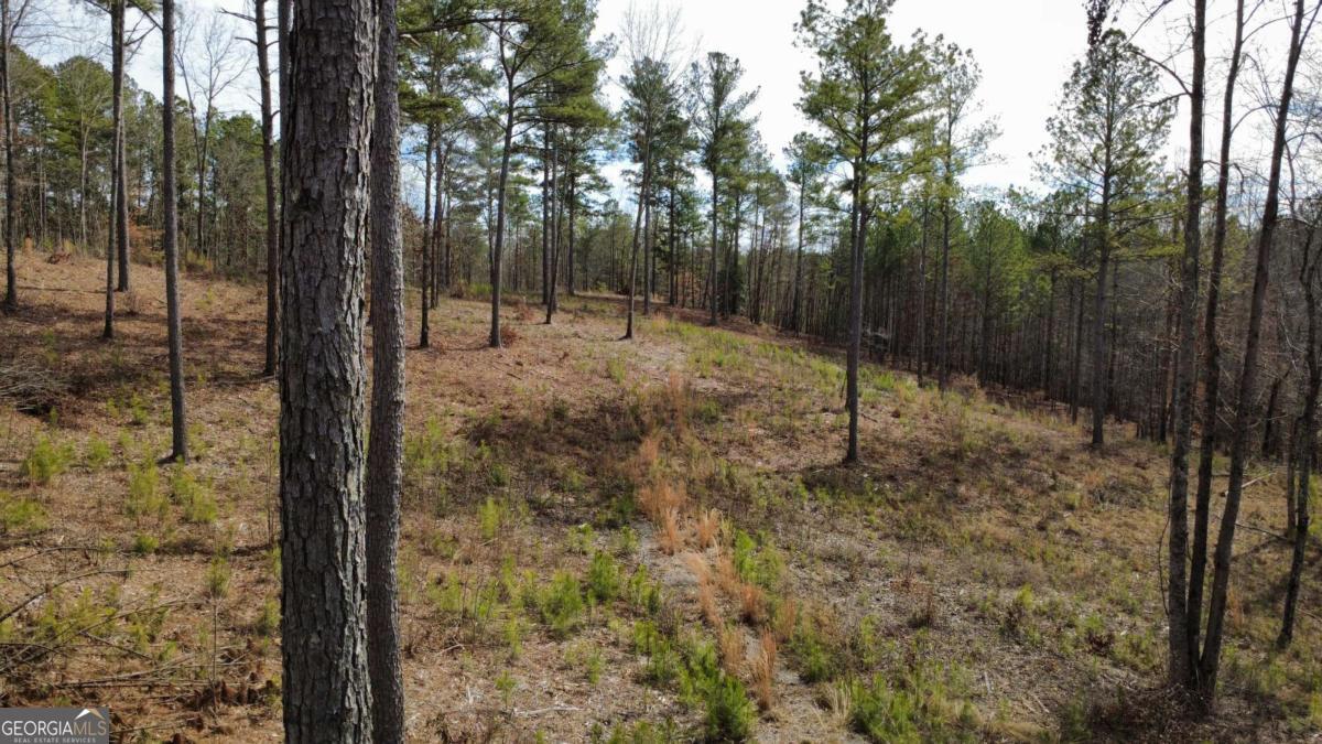 Lot 108 Blalock Mountain Road Property Photo 9