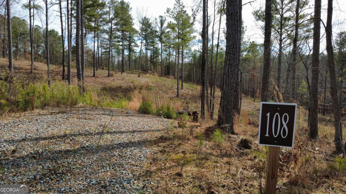 Lot 108 Blalock Mountain Road Property Photo 10