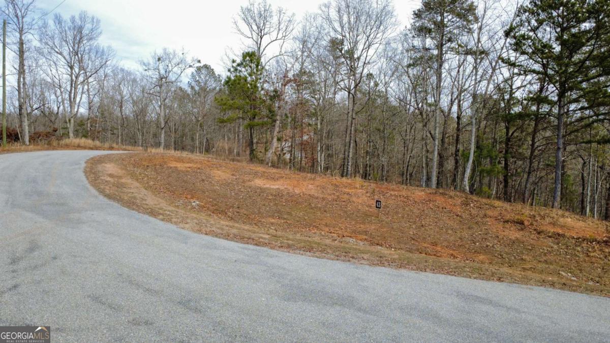 Lot 43 Bucktail Way Property Photo
