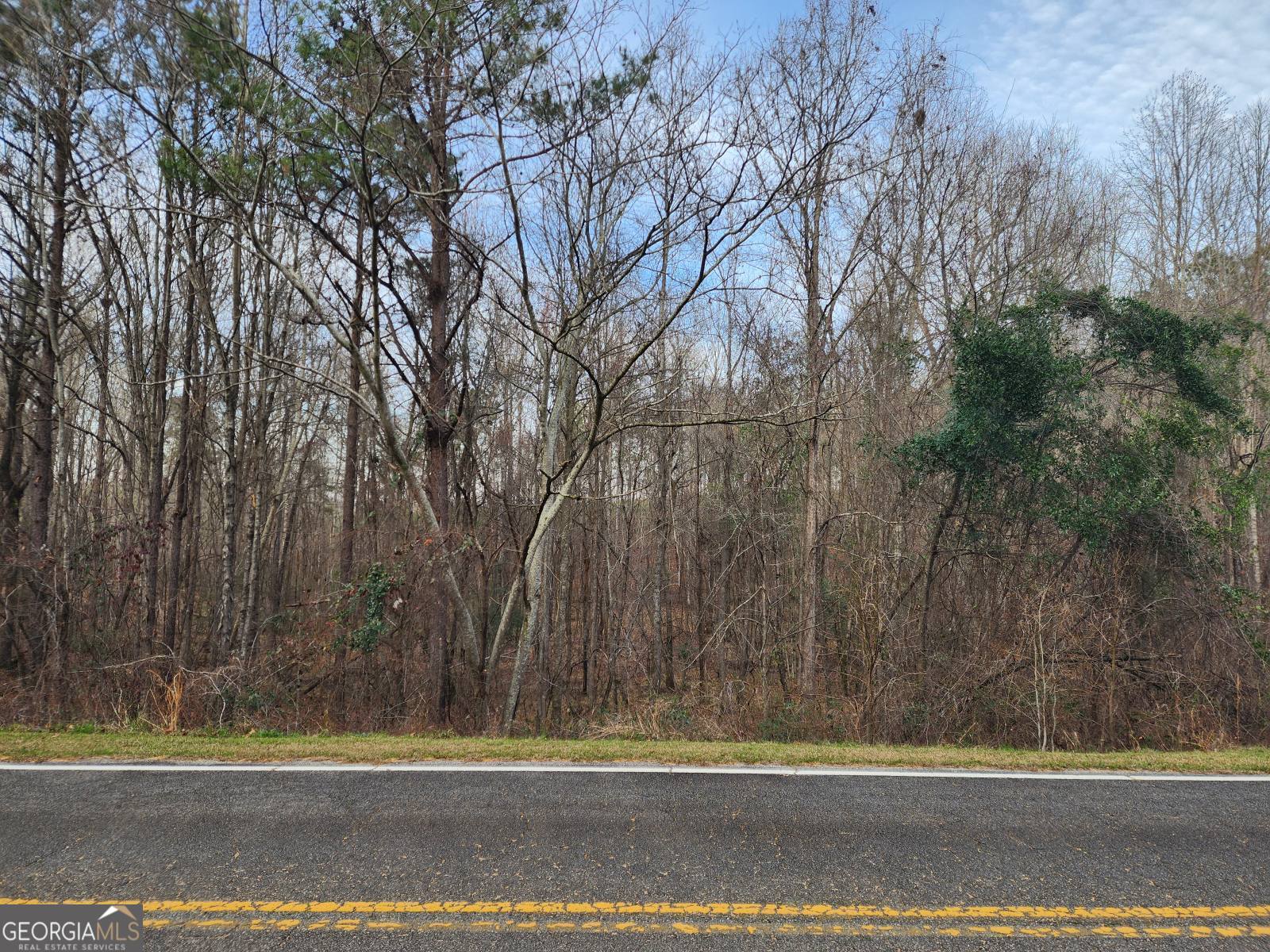 0 Us Highway 80 E Property Photo