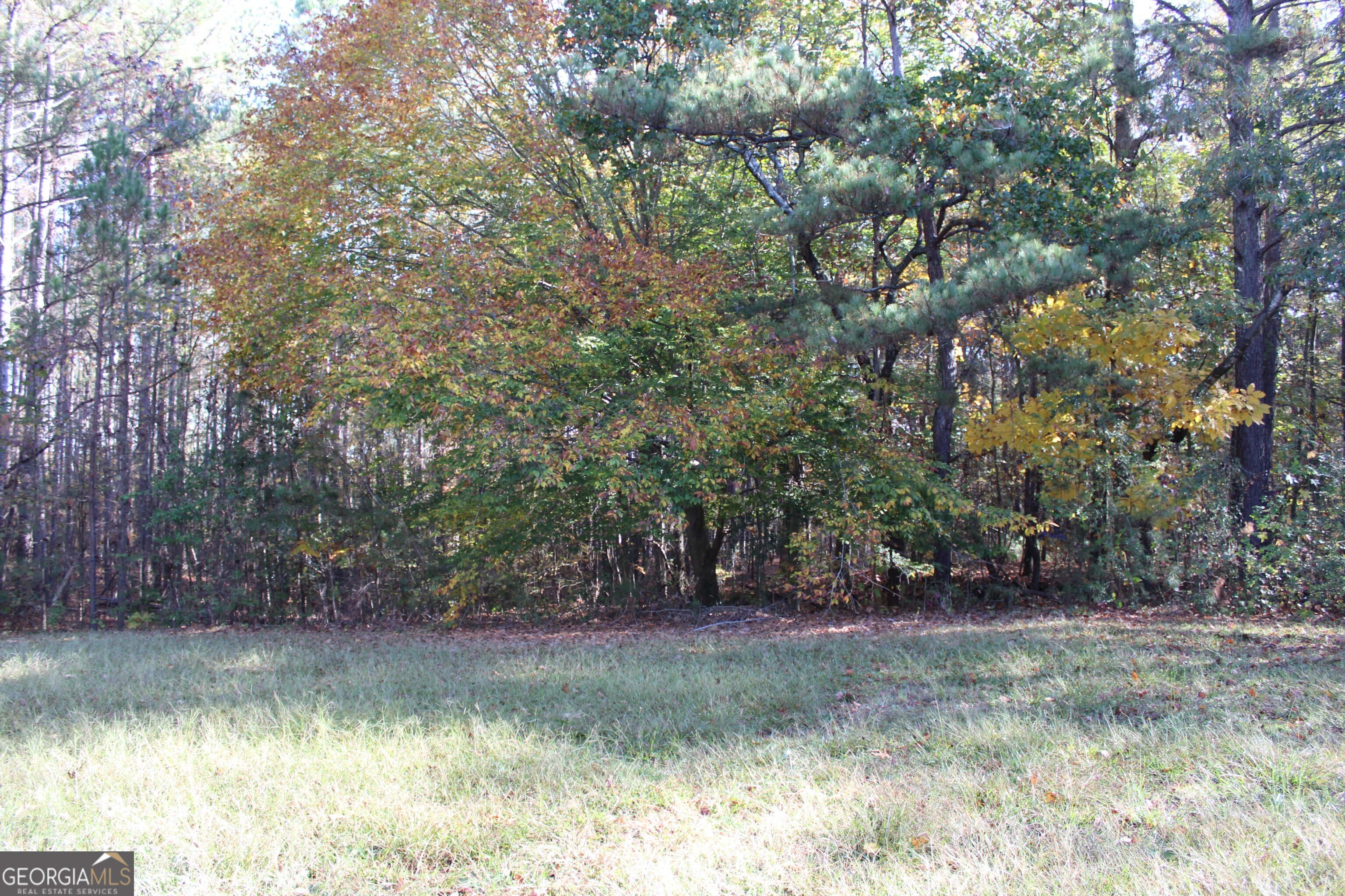 1372 Auburn Road Property Photo 7