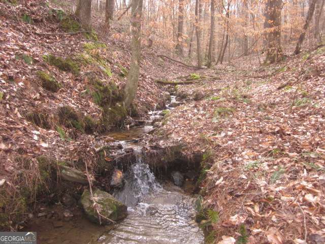 00 Jones Mountain Road Property Photo
