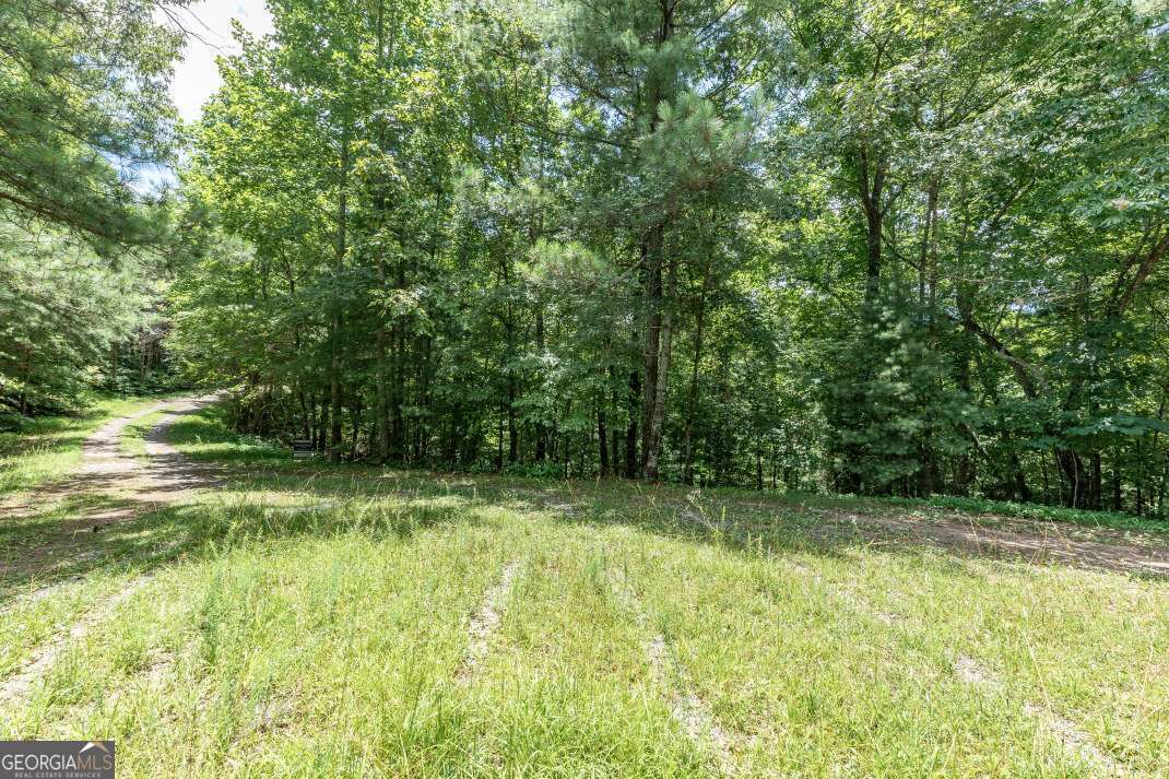 Lot 1687 Shade Tree Drive Property Photo