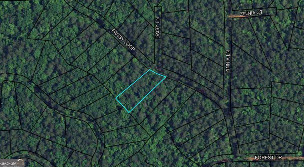 Blk 79 Lot 07 Pansy Loop Property Photo