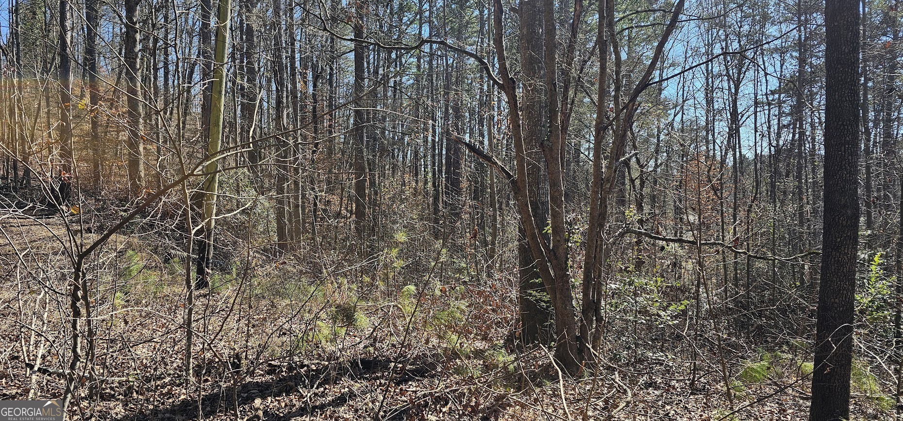 30 & 48 Dogwood Trail Property Photo