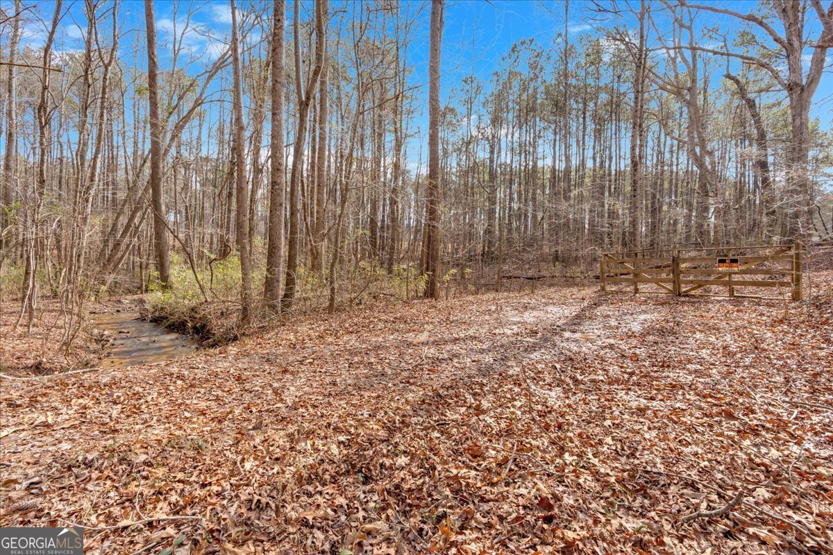 0 Raburn Lake Road Property Photo