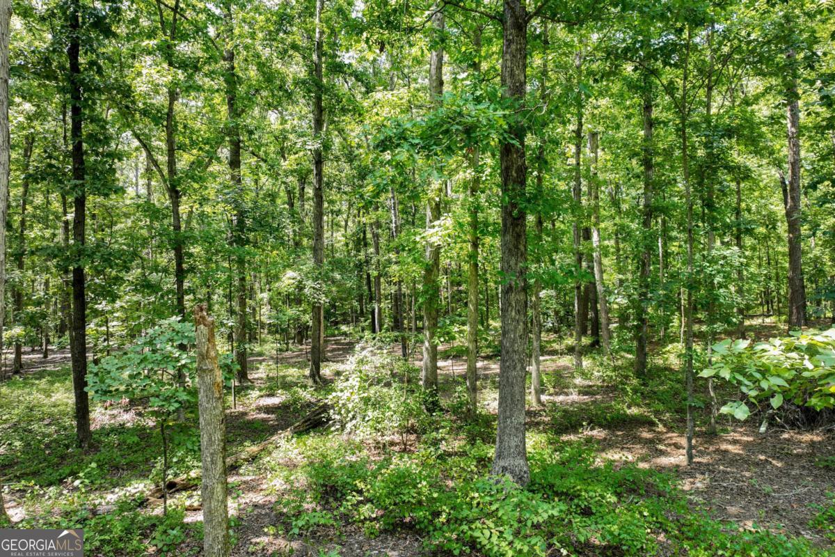 268 Cemetery Circle Property Photo