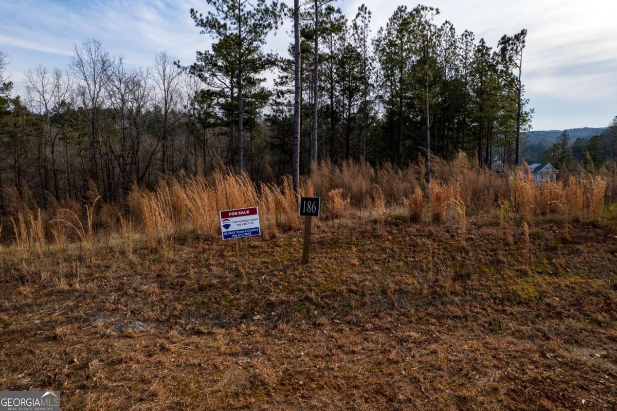 Lot 186 Shelter Cove Trail Property Photo 6