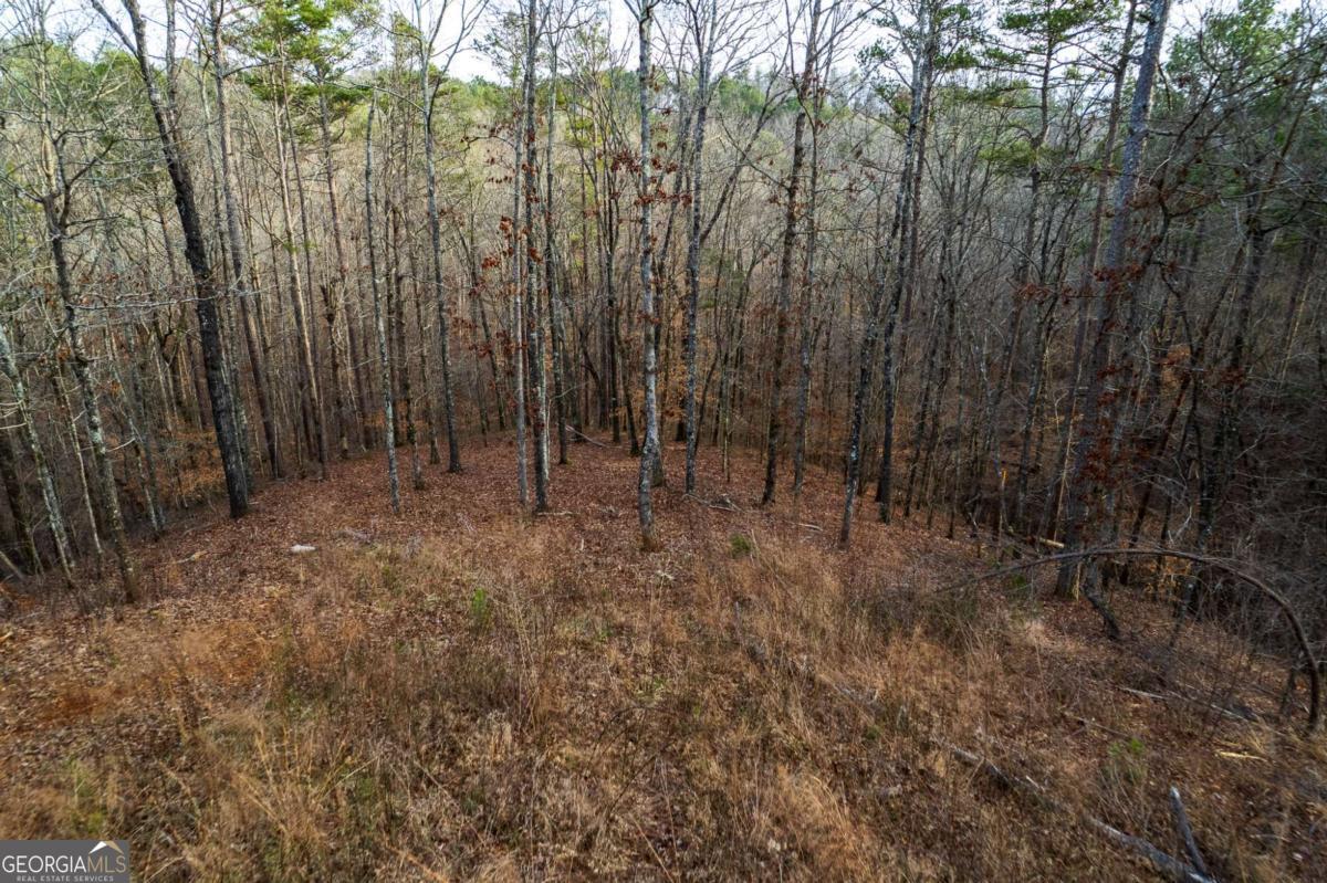 Lot 186 Shelter Cove Trail Property Photo 8