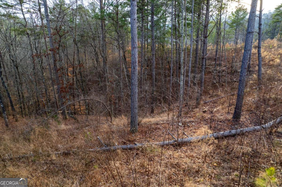 Lot 186 Shelter Cove Trail Property Photo 9