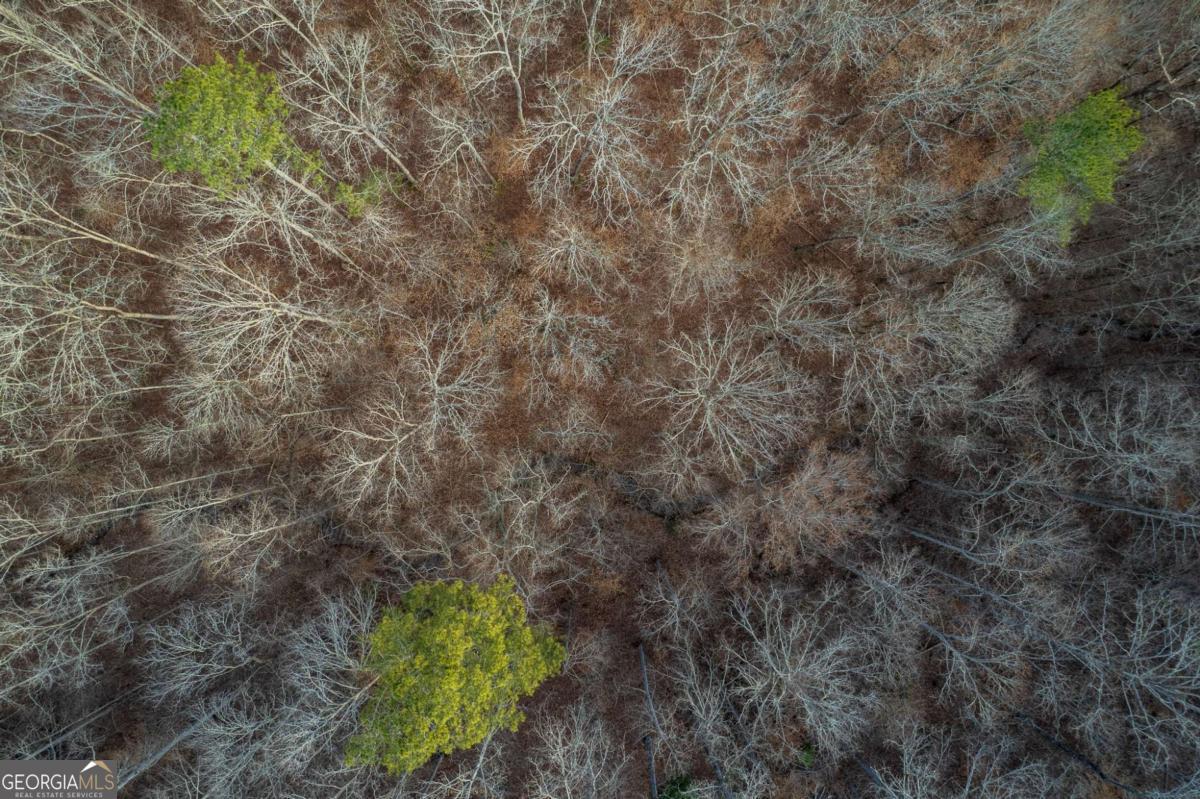 Lot 186 Shelter Cove Trail Property Photo 13