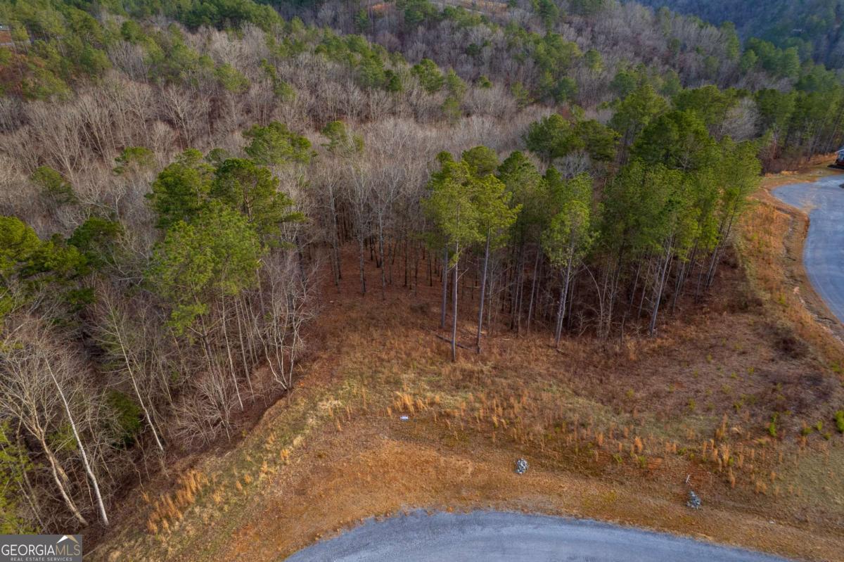 Lot 186 Shelter Cove Trail Property Photo 17
