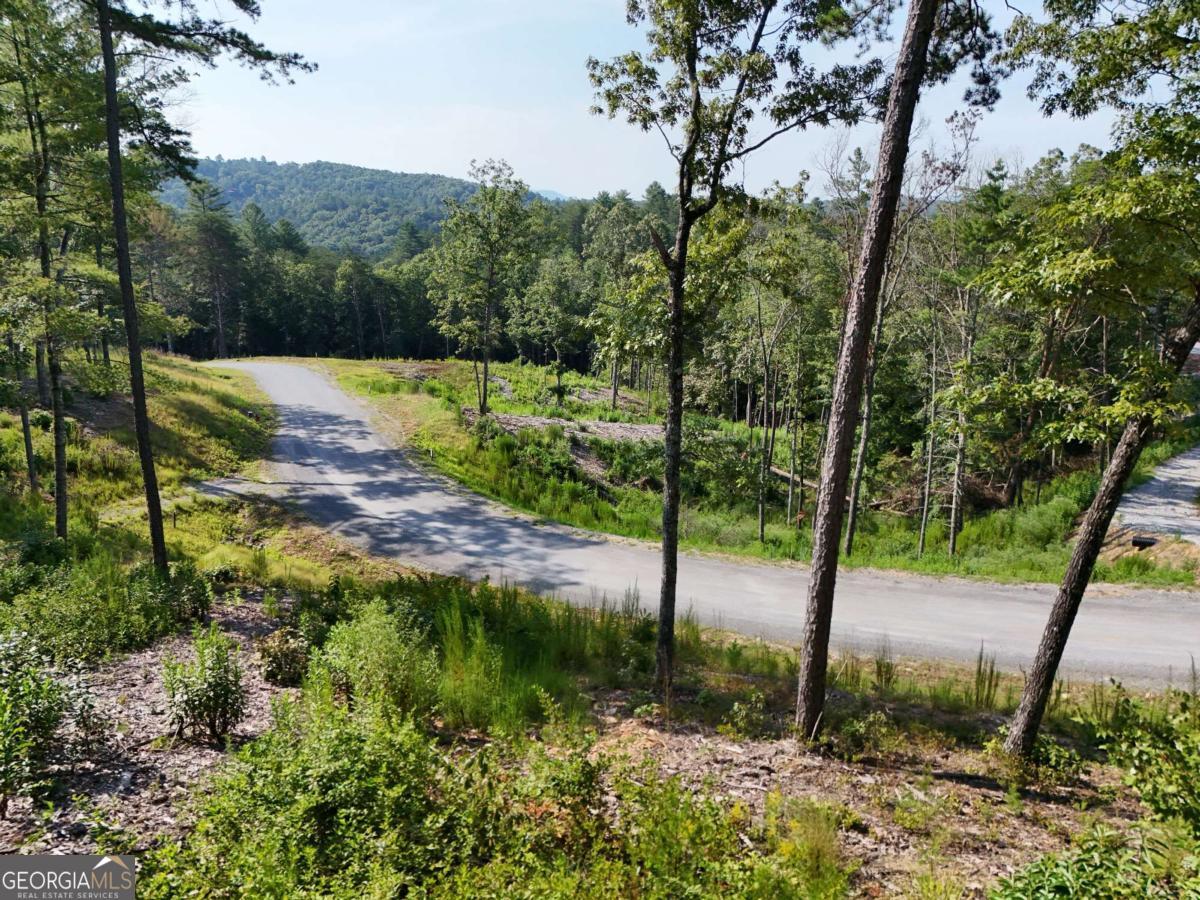 Lot 3 Mountain Laurel Ridge Property Photo