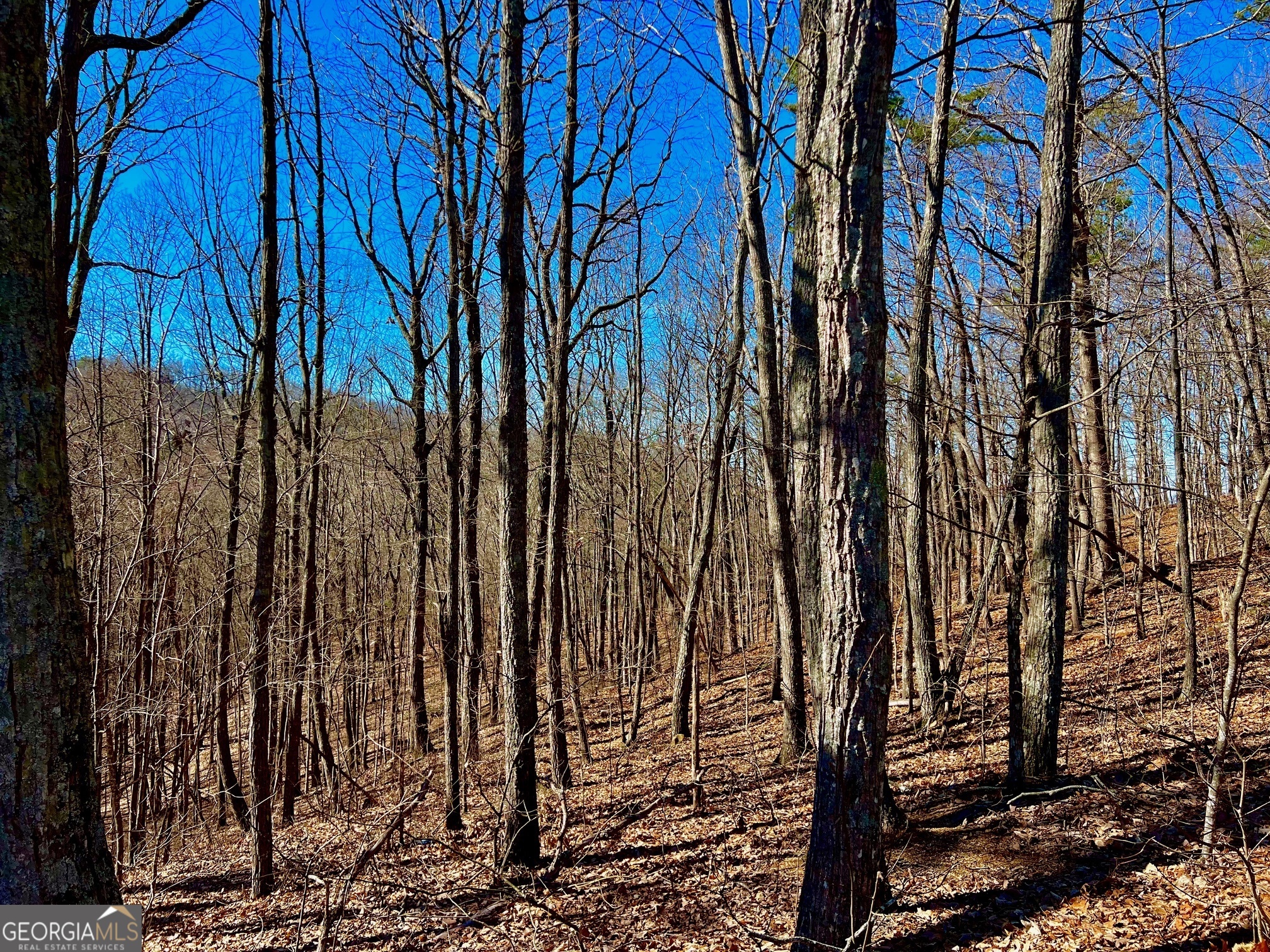 37 Clear Creek Acres Property Photo